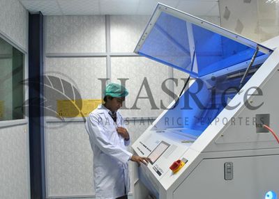 HAS Rice Pakistan rice mill 12