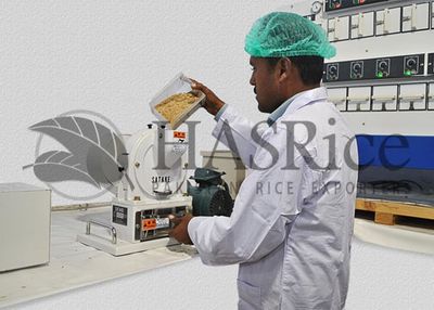 HAS Rice Pakistan rice mill 11