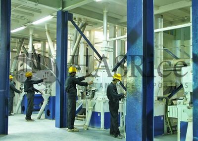HAS Rice Pakistan rice mill 1