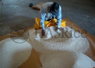 Pakistan IRRI6 rice inspection 10