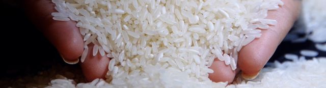 Pakistan white rice held in cupped hands