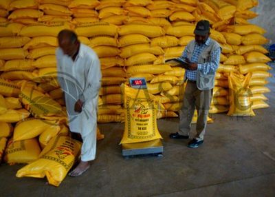 Pakistan IRRI6 rice inspection 4